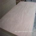 Hoja de madera contrachapada de muebles de cedro de lápiz de pegamento E1